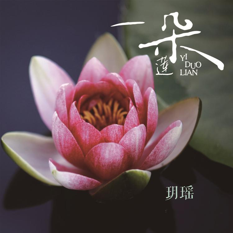 玥瑶's avatar image
