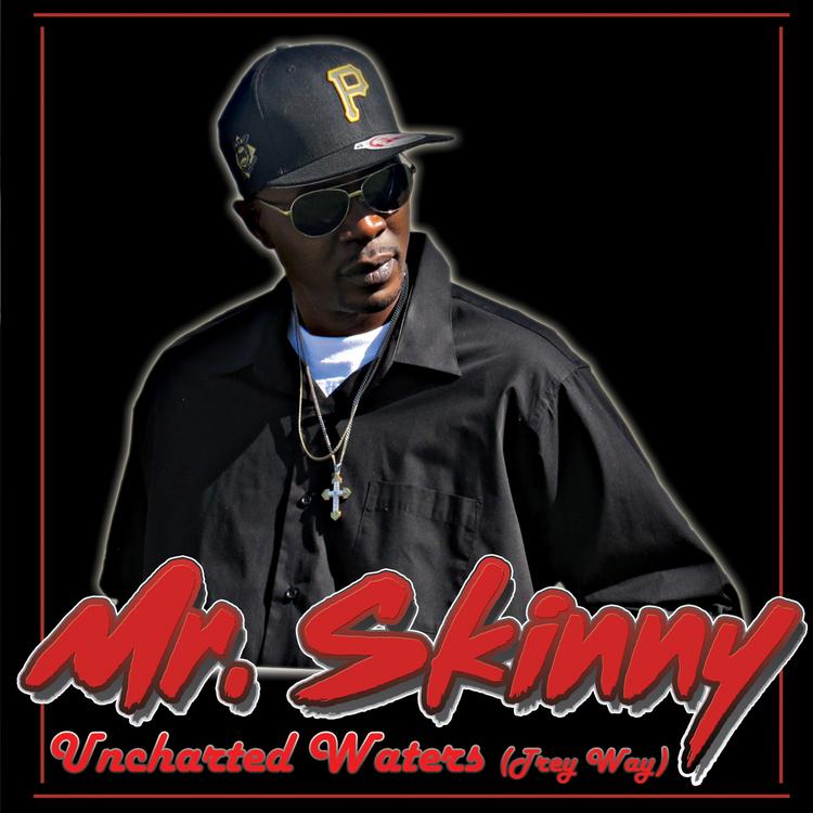 Mr. Skinny's avatar image