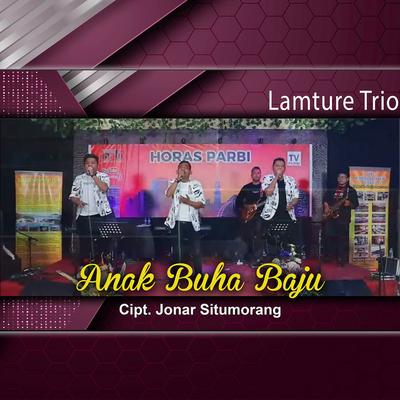 Lamture Trio's cover