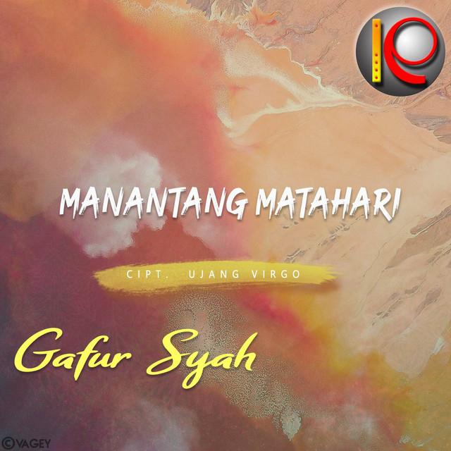 Gafur Syah's avatar image