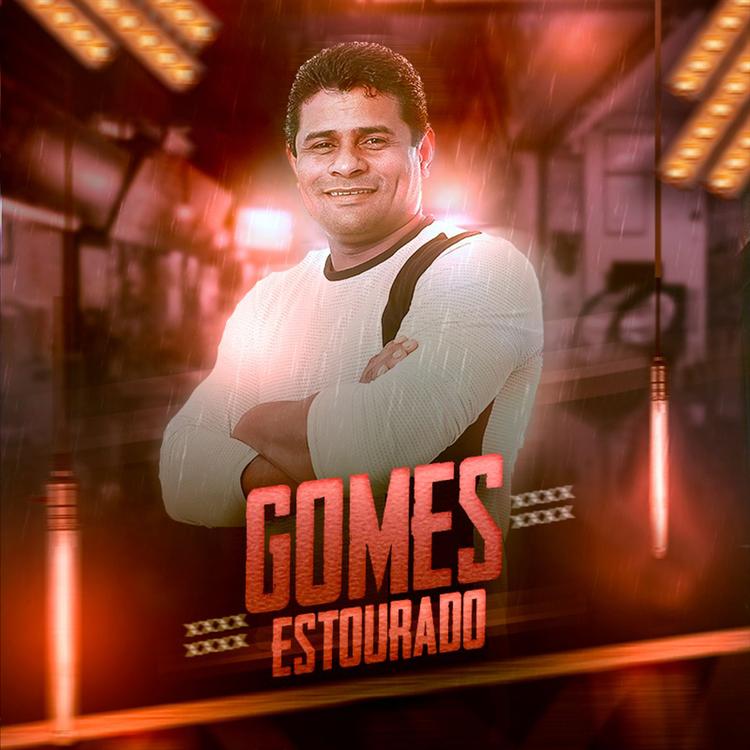 Gomes Estourado's avatar image