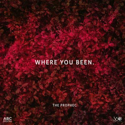 Where You Been's cover