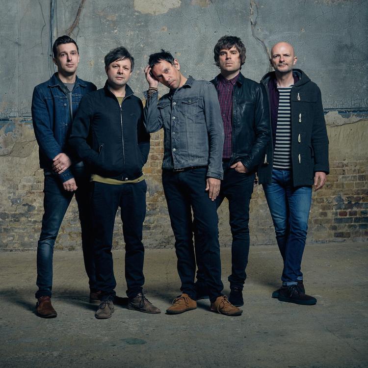 Shed Seven's avatar image