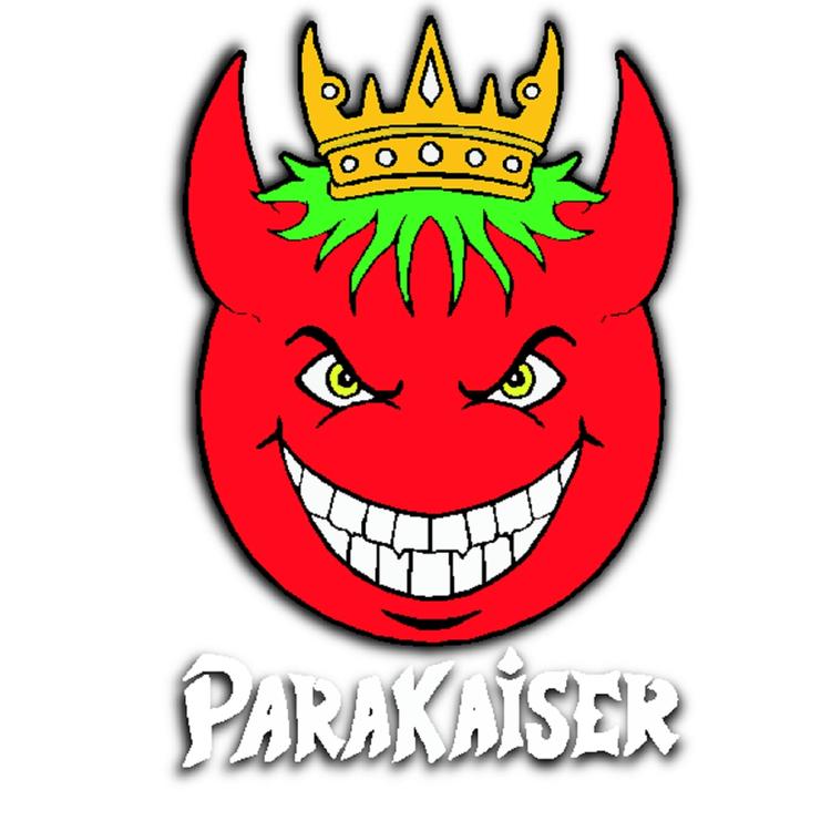 ParaKaiser's avatar image