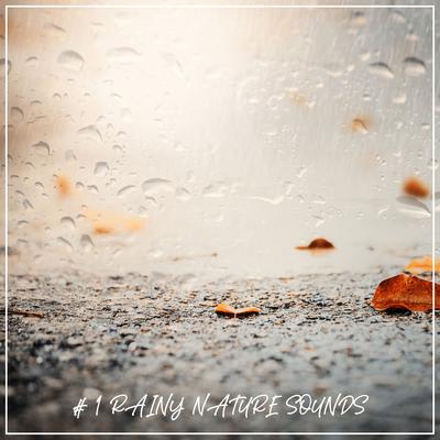 # 1 Rainy Nature Sounds's cover