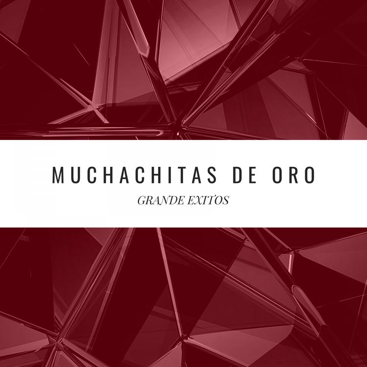 Muchachitas de Oro's avatar image