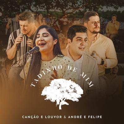 Tadinho de Mim By Canção & Louvor, André e Felipe's cover