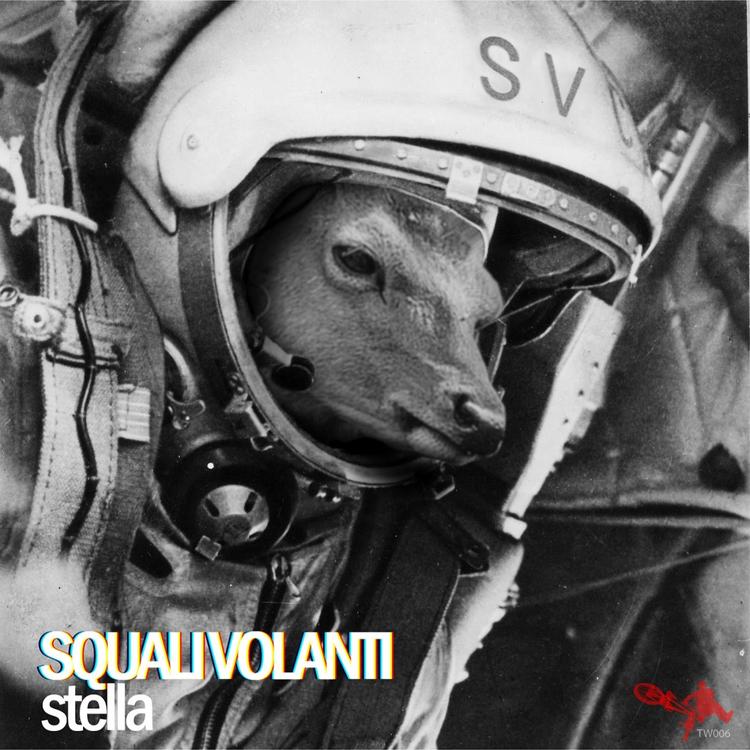 Squali Volanti's avatar image