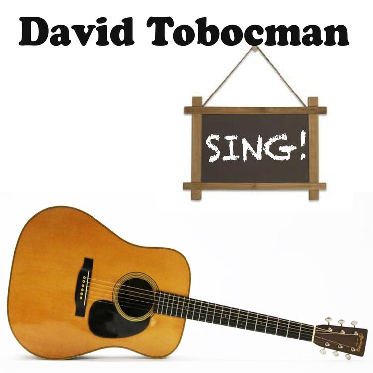 David Tobocman's avatar image