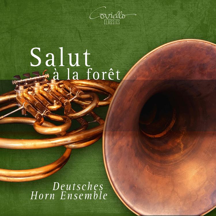 Deutsches Horn Ensemble's avatar image