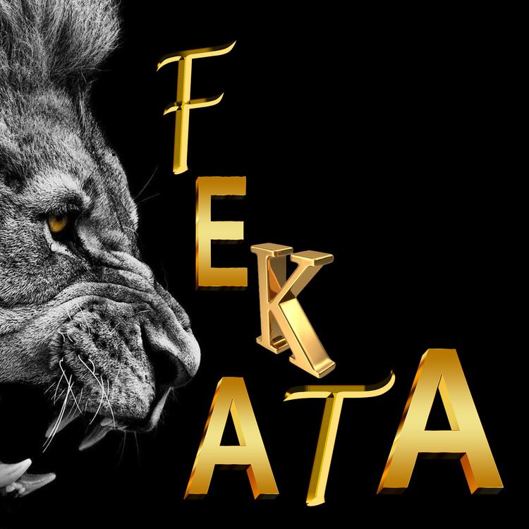 FEKATA's avatar image