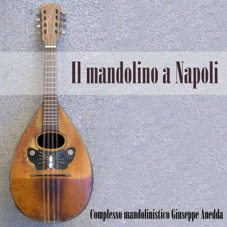 Complesso mandolinistico Giuseppe Anedda's avatar image