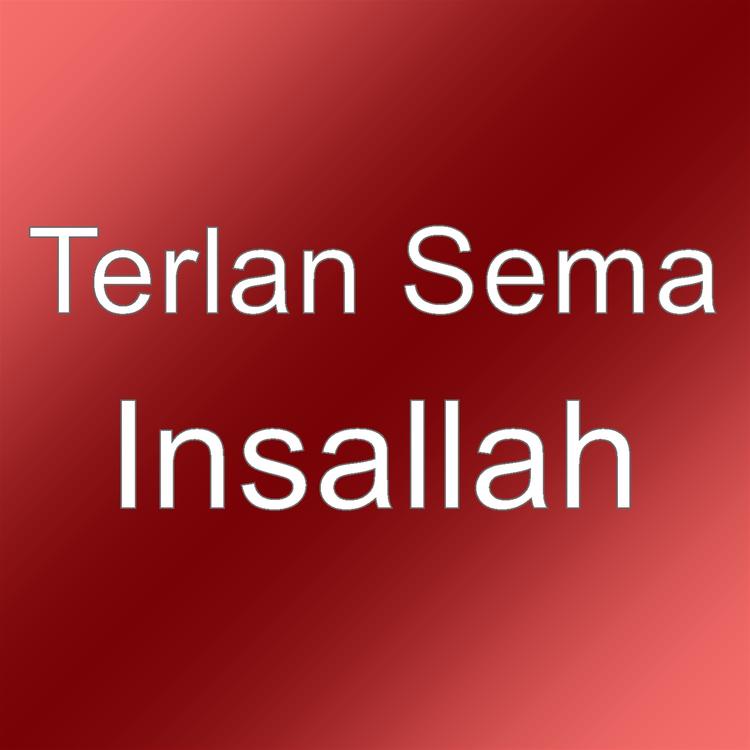 Terlan Sema's avatar image