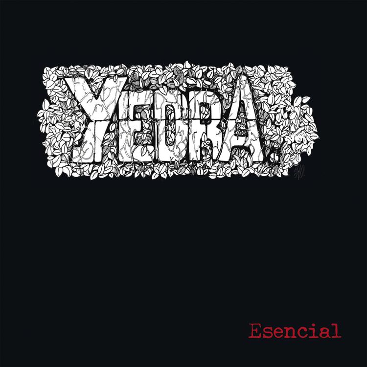 Yedra's avatar image