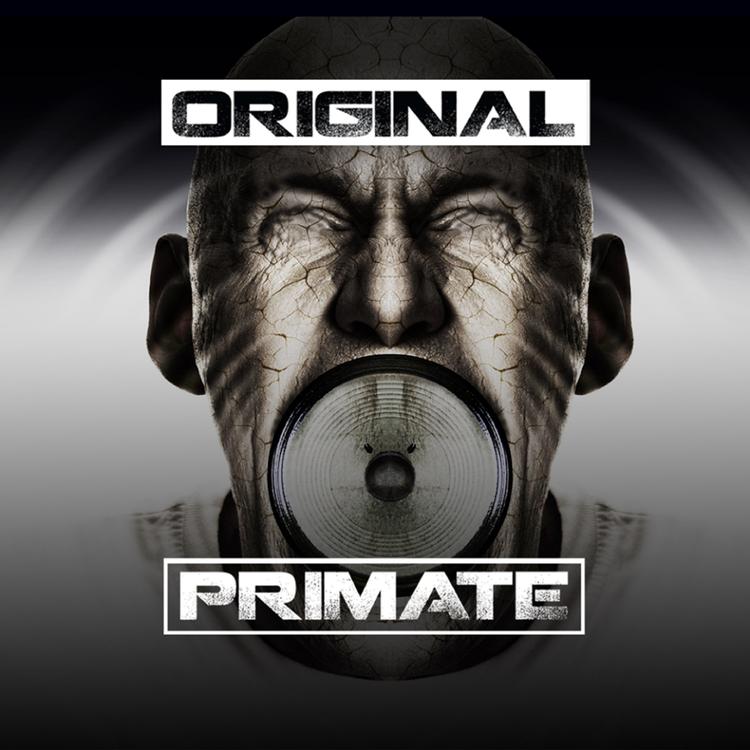 Original Primate's avatar image