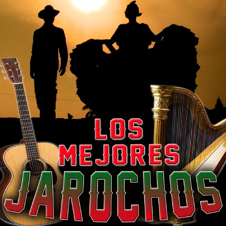 Jarocheando's avatar image