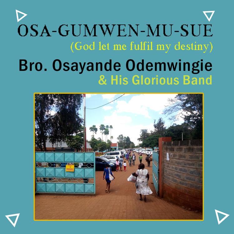 Bro. Osayande Odemwingie's avatar image