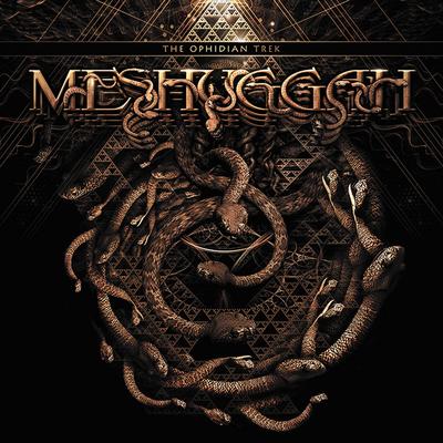 Swarmer (Live) By Meshuggah's cover