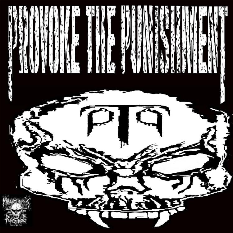 Provoke the Punisment's avatar image