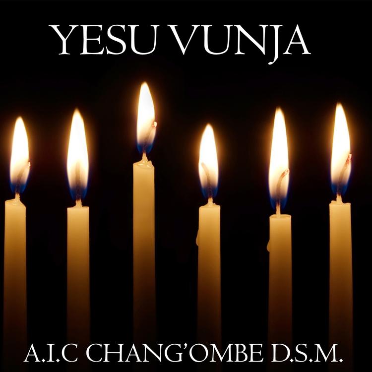 AIC Chang'ambe DSM's avatar image