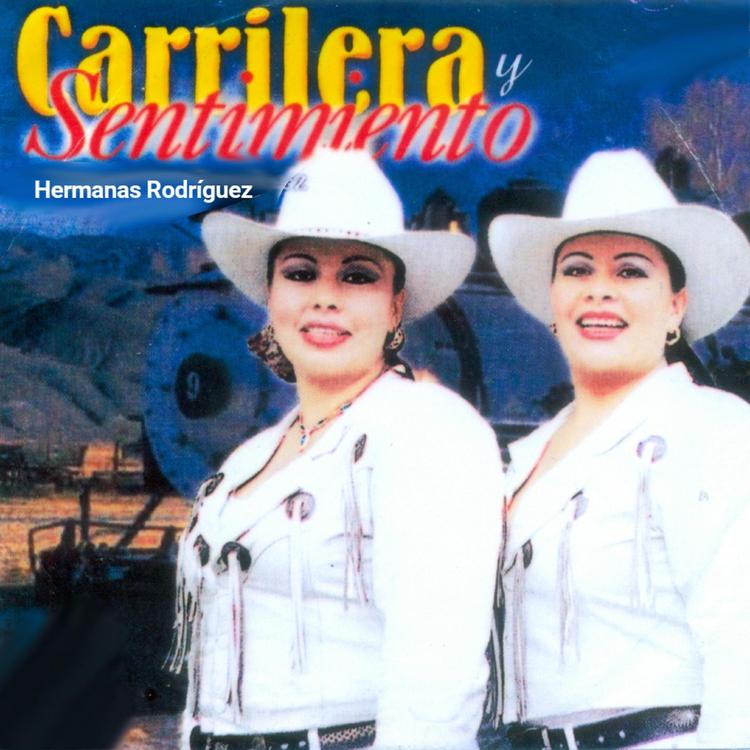 Hermanas Rodriguez's avatar image