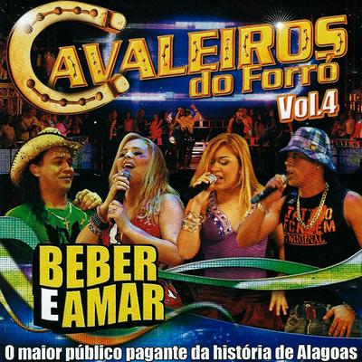 Beber e Amar, Vol. 4 (Ao Vivo)'s cover
