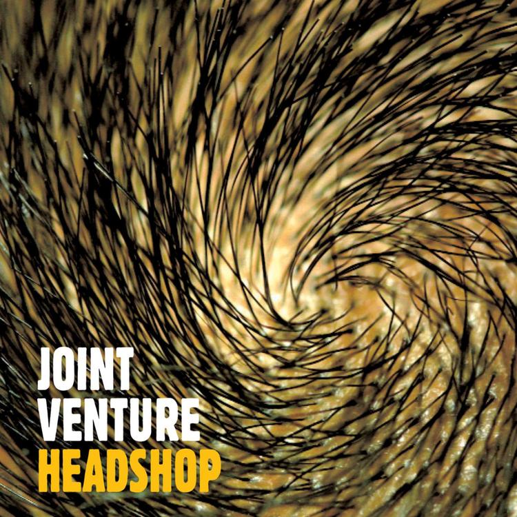 Joint Venture's avatar image