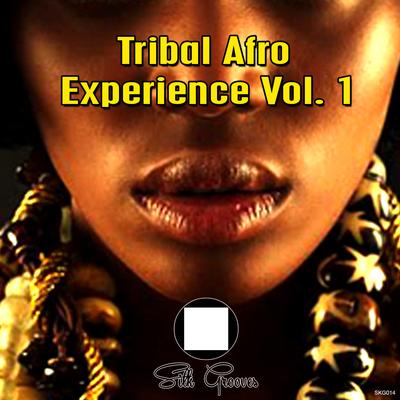 Tribal Afro Experience Vol 1's cover