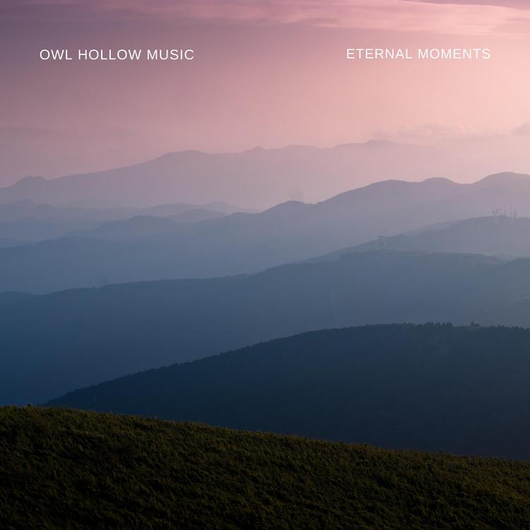 Owl Hollow music's avatar image