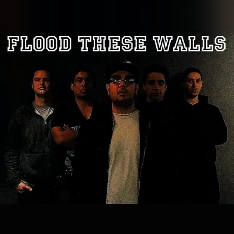Flood These Walls's avatar image