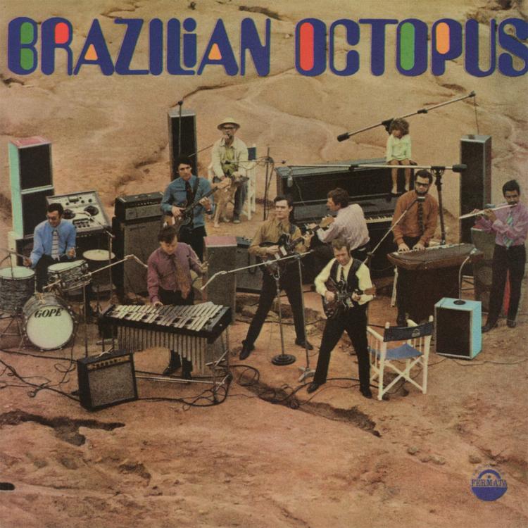 Brazilian Octopus's avatar image