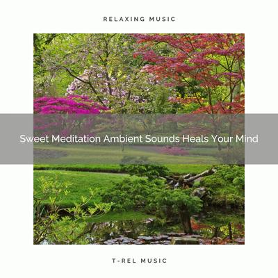 Sweet Meditation Ambient Sounds Heals Your Mind's cover