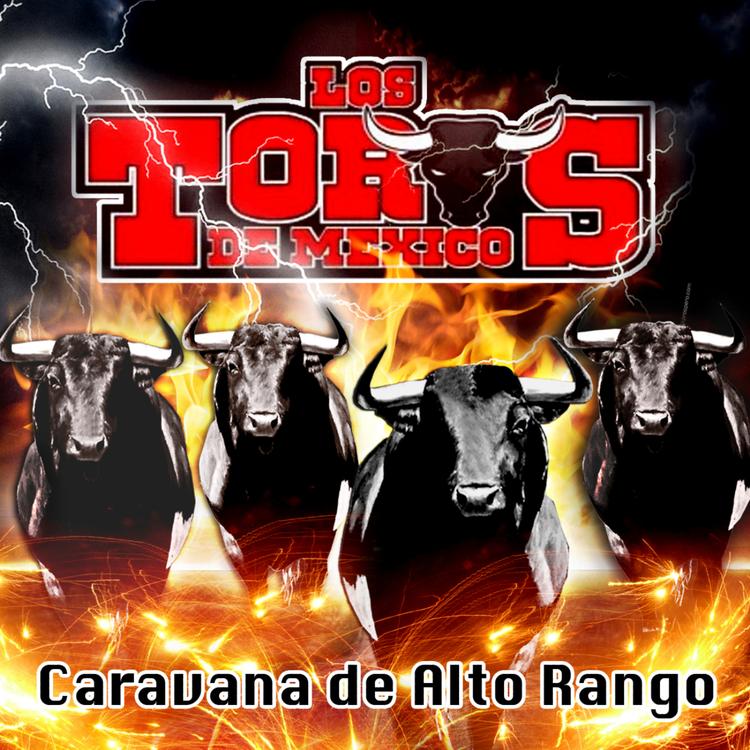 Los Toros de México's avatar image