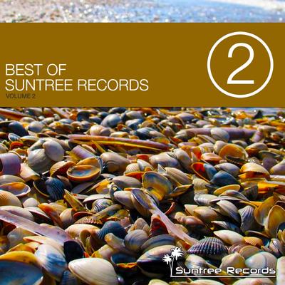 Best of Suntree Records Vol. 2's cover