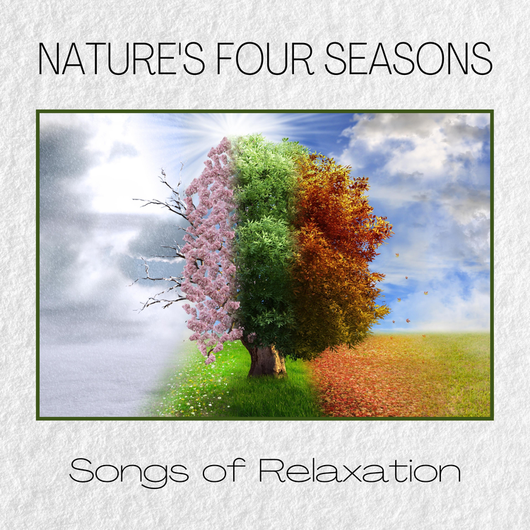 Songs Of Relaxation's avatar image