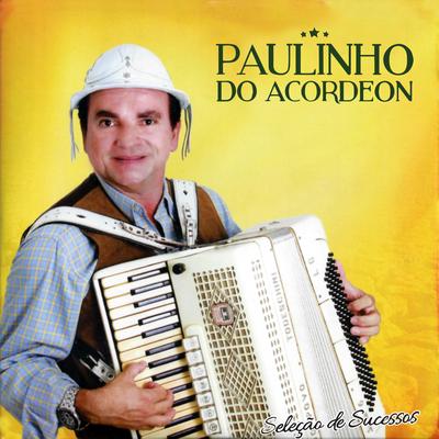 Rei do Barulho By Paulinho do Acordeon's cover