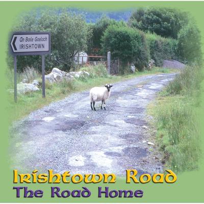 The Stephen Baldwin / Mary Jemison's / Old Joe Clark By Irishtown Road's cover