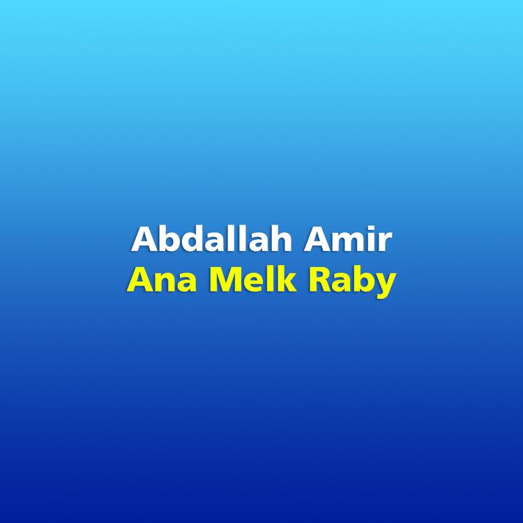 Abdallah Amir's avatar image