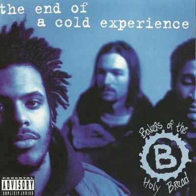 The End Of A Cold Experience's cover