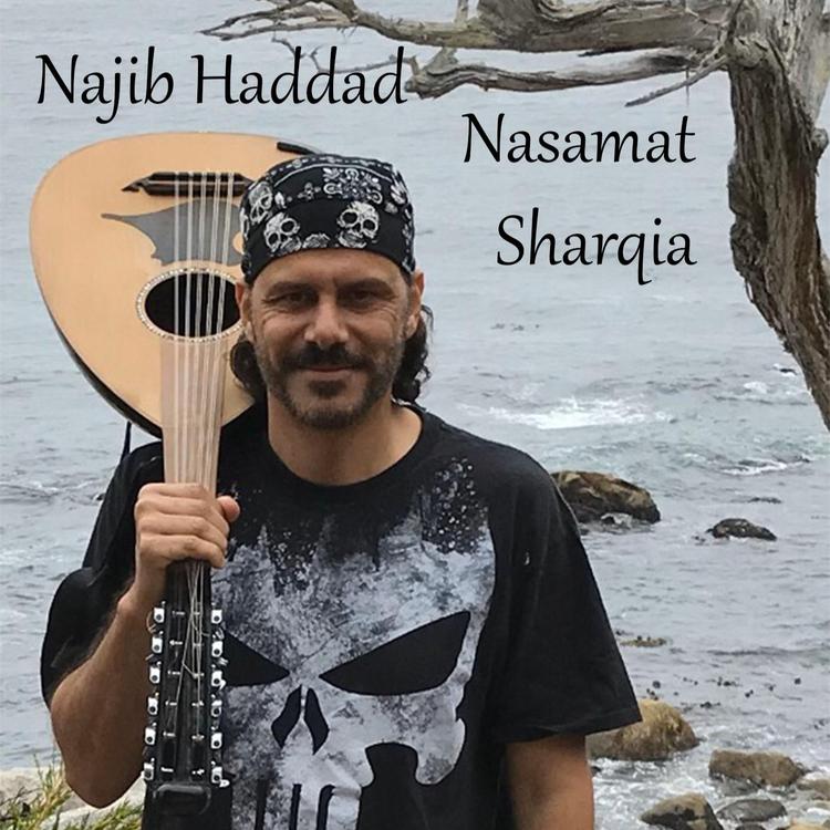 Najib Haddad's avatar image