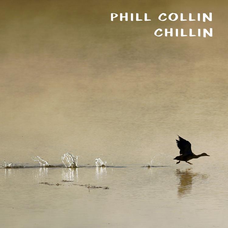 Phill Collin's avatar image