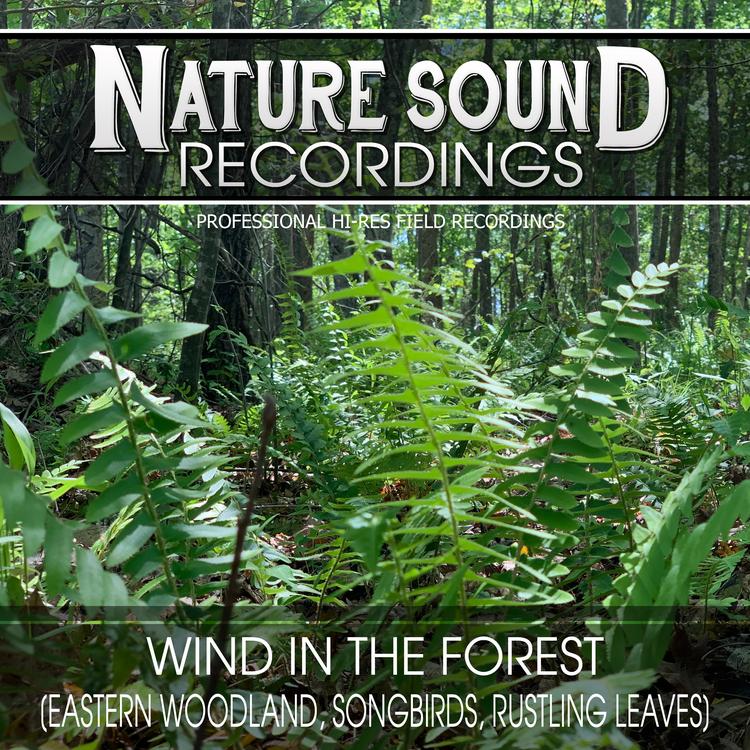 Nature Sound Recordings's avatar image