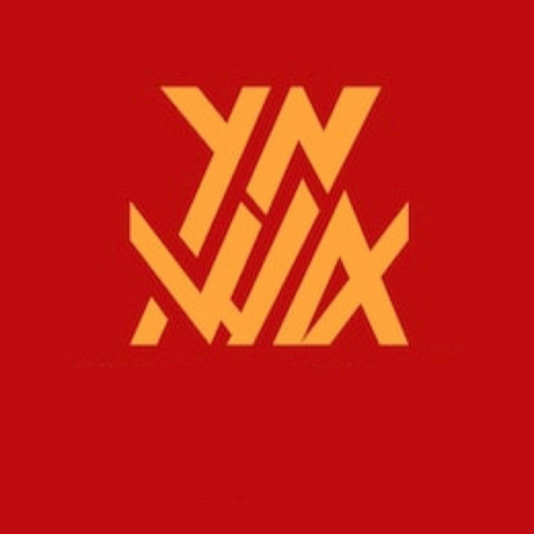 YNWA ENT's avatar image