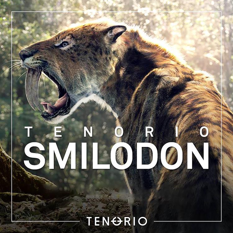 Tenorio's avatar image
