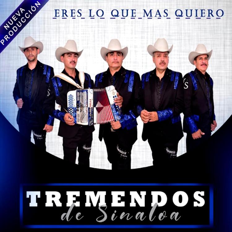 Los Tremendos de Sinaloa's avatar image