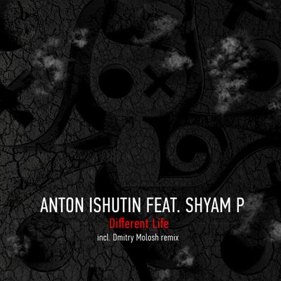 Different Life (Original Mix) By Anton Ishutin, Shyam P's cover