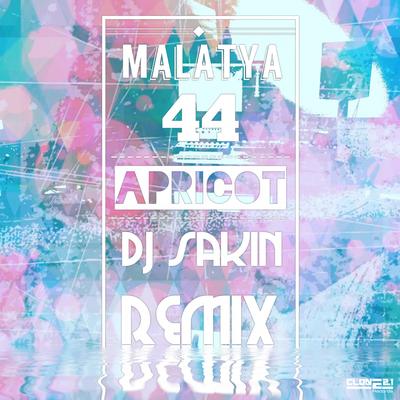 Apricot (DJ Sakin Remix)'s cover