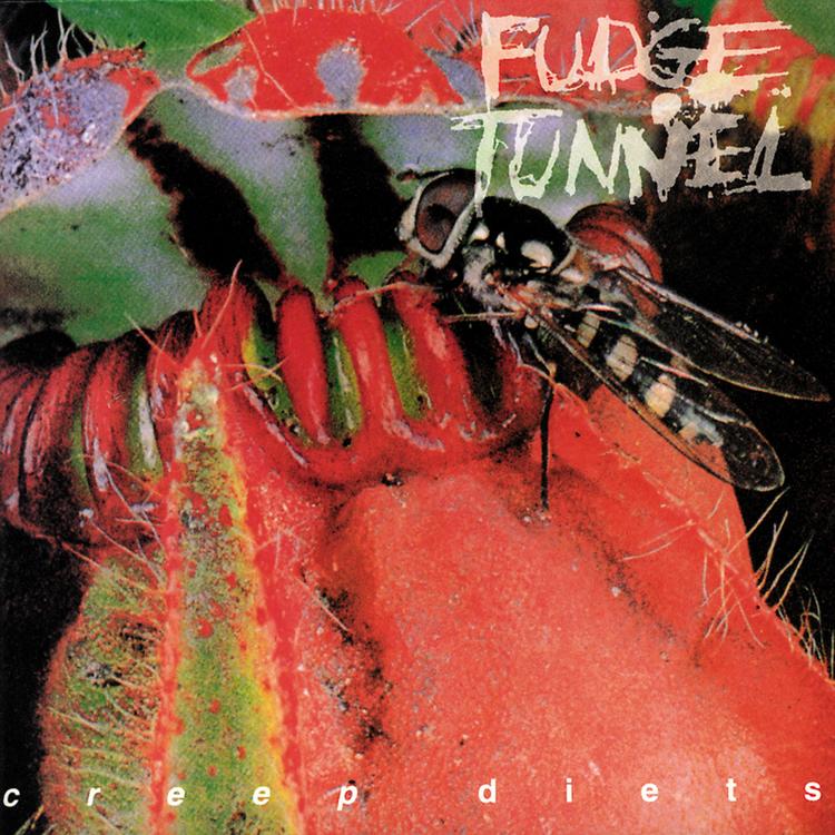 Fudge Tunnel's avatar image