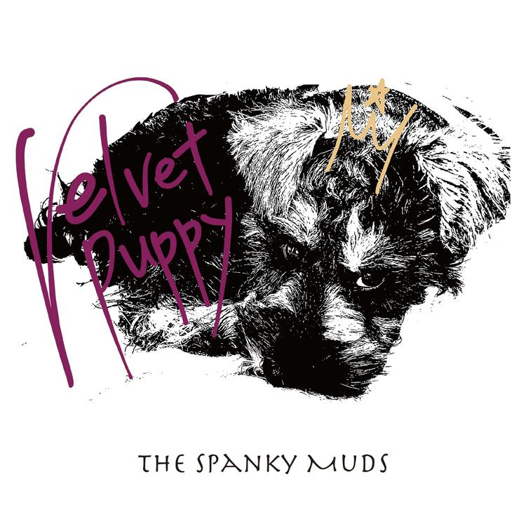 The Spanky Muds's avatar image