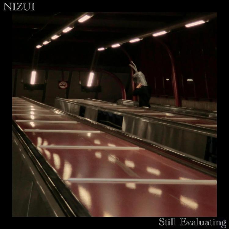 Nizui's avatar image